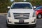 2015 Cadillac Escalade Platinum Edition